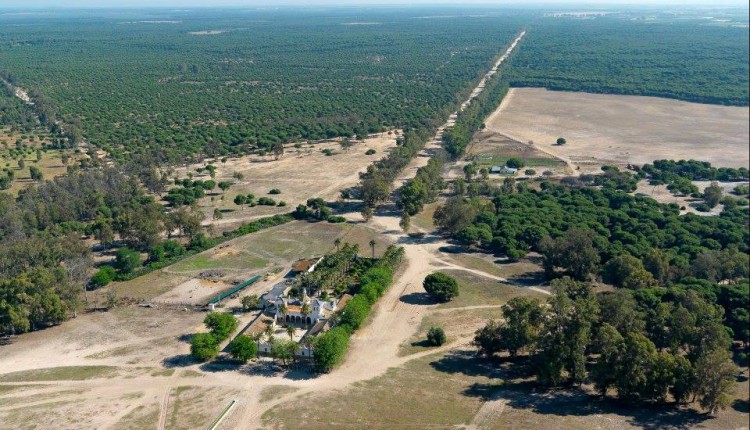 Romería del Rocío 2023 – El Paso por La Raya Real presenta Novedades