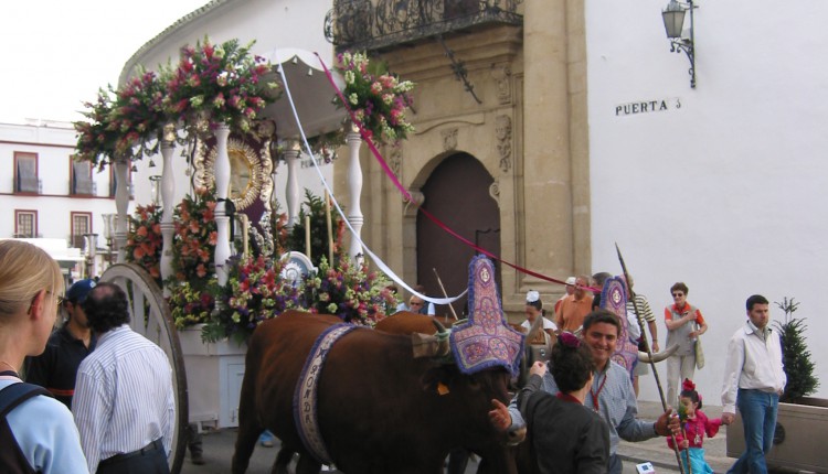 Las hermandades recuperan la estampa de las carretas con bueyes