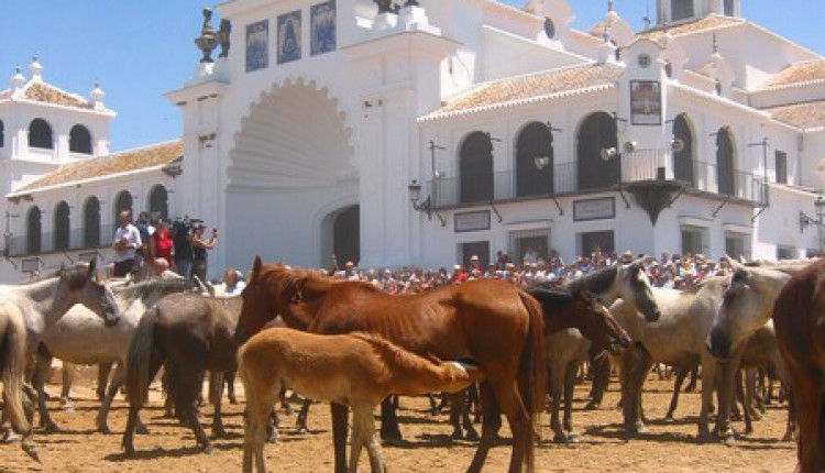 Saca de yeguas 2006