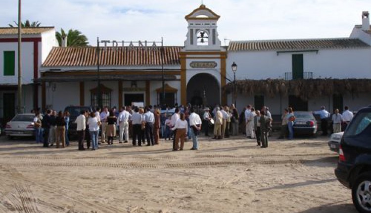 DIA DE TODOS LOS SANTOS Triana