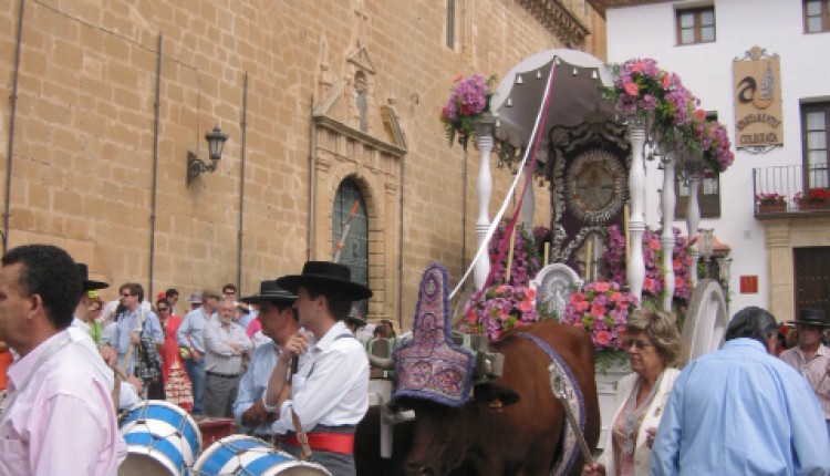 Salida de la Hermandad de Ronda 2007