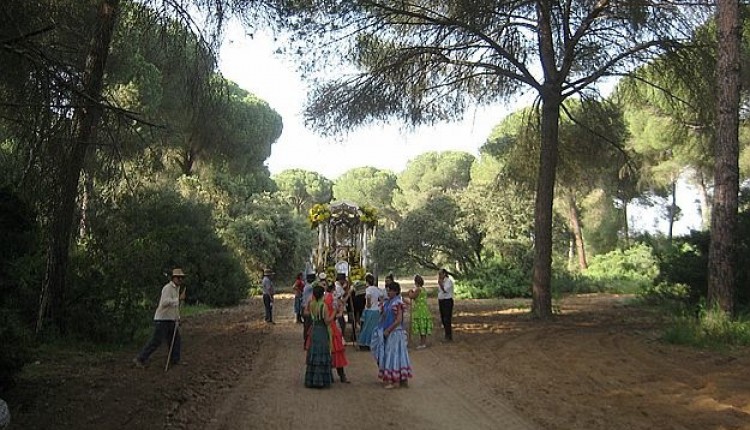 RONDA – Carta a los hermanos fin de la Romería