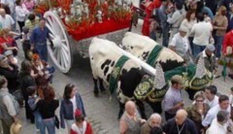 Gines acoge este sábado la Reunión Comarcal de Hermandades del Rocío