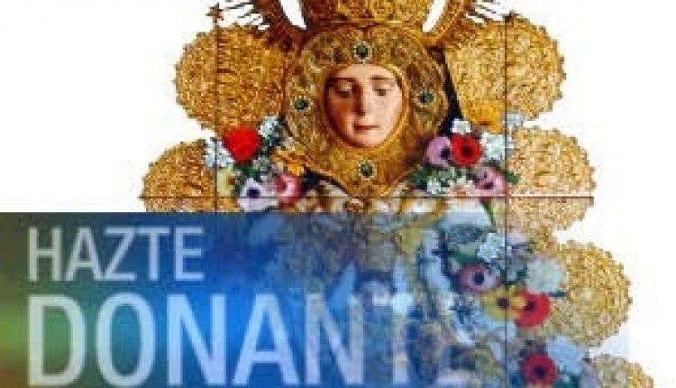 Las Hermandades del Rocío de Sevilla organizan una mesa redonda sobre Donaciones de Órganos y Trasplantes