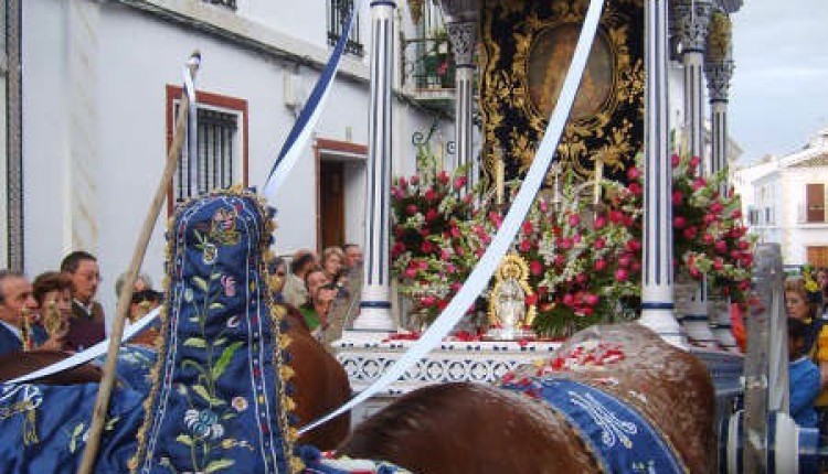 Hermandad de Hinojos – I PASE DE MODA FLAMENCA