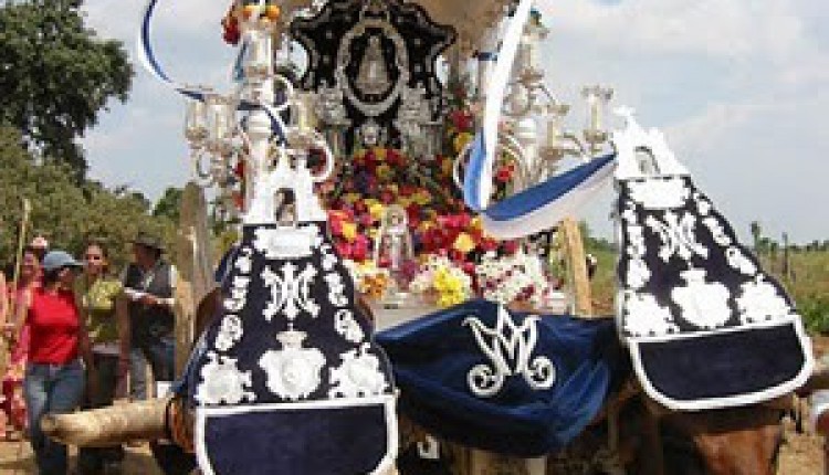 Hermandad de Benacazón – Solemnes Cultos