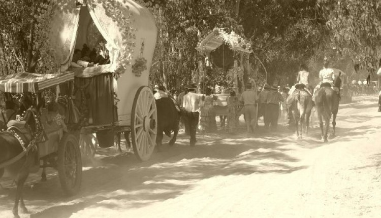 Hermandad de Benacazón Cultos y Camino