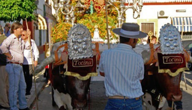 Peregrinaciones Extraordinarias del domingo 13 de diciembre de 2015
