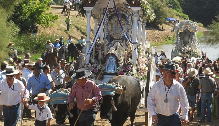 Peregrinaciones extraordinarias del jueves 8 de diciembre de 2011