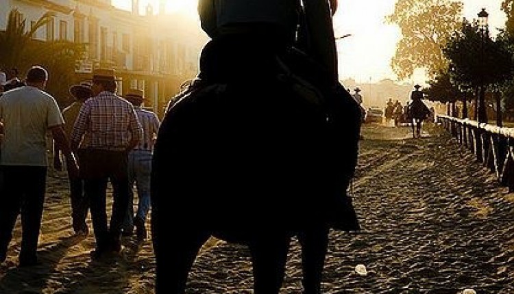 Peregrinaciones extraordinarias del domingo 15 de enero de 2012