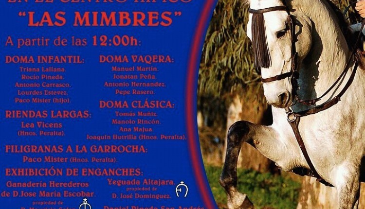 Hermandad de La Puebla del Río – I Exibición Ecuestre