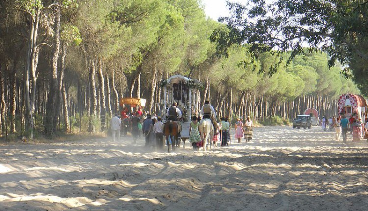 Hermandad de Ronda – Programa Romería 2012
