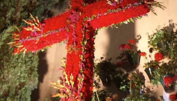 Hermandad de Sevilla Sur – Tradicional Cruz de Mayo
