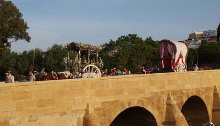 Hermandad de Alcalá de Guadaíra – Peregrinación a Mairena del Alcor