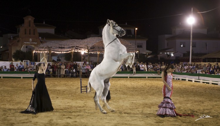Gines – Comienza Una Pará en Gines 2013