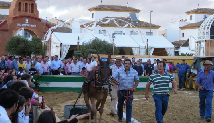 Ni el mal tiempo pudo con Una Pará en Gines
