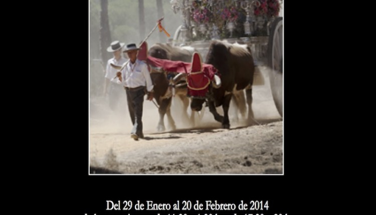 Hermandad de La Palma – Exposición Fotográfica -Rocío Jubileo de Luz-