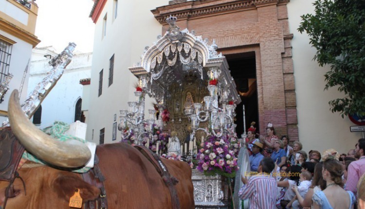 Fotos Salida de la Hermandad de Sevilla-Macarena 2014