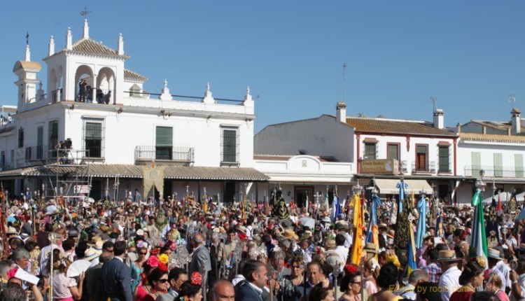 Misa de Pentecostés en el Rocío 2014