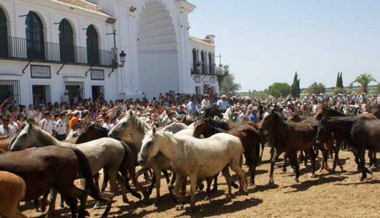 Saca de Yeguas 2015