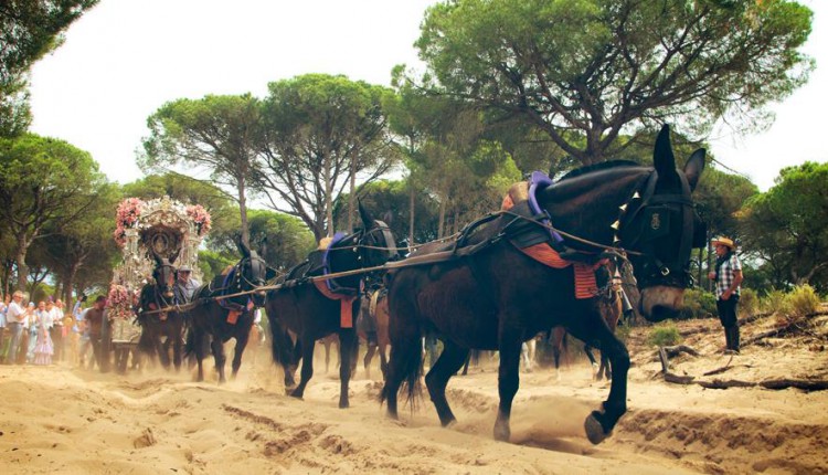 Hermandad de Jerez – XII CONCURSO FOTOGRAFICO “CARTEL ROMERIA 2017″