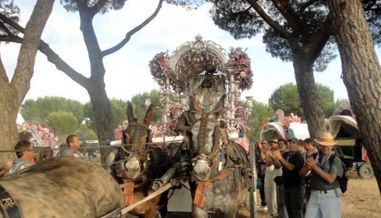 Peregrinaciones Extraordinarias del sábado 14 y domingo 15 de noviembre de 2015