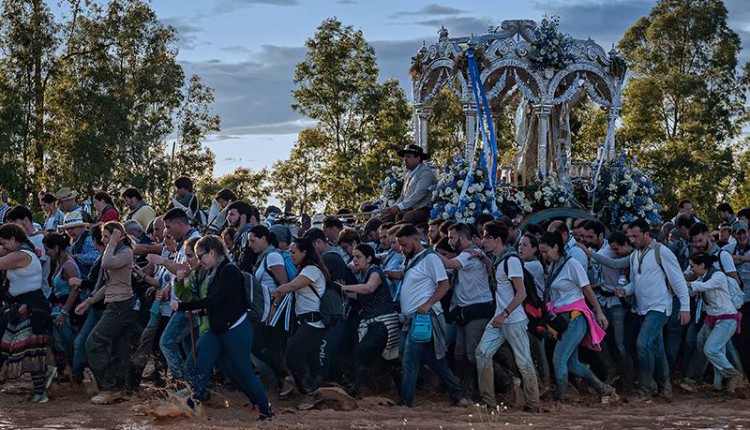 Salida de Hermandades al Rocío el jueves 1 de junio de 2017