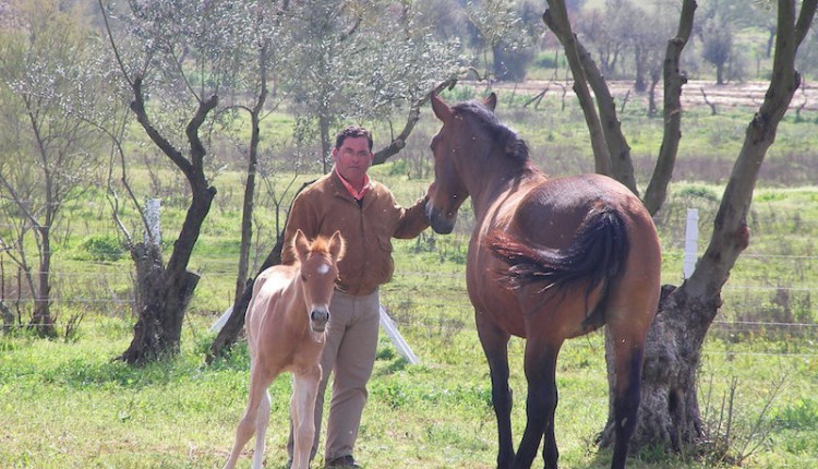 Hermandad de Alicante – D. Antonio Rodríguez Basurto pregonero de la Romería 2015