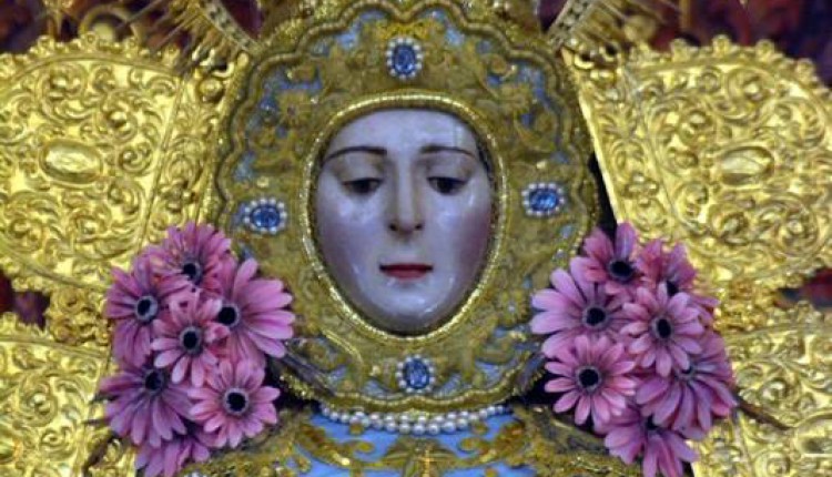 Peregrinaciones extraordinarias del domingo 13 de enero de 2013