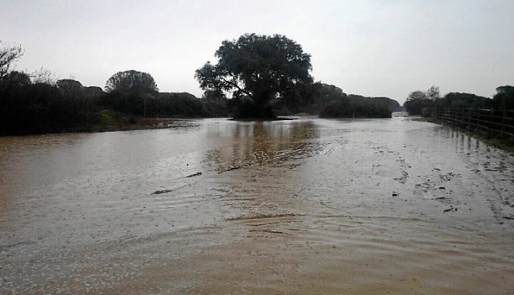 El Espacio Natural Doñana y el Ayuntamiento de Hinojos suspenden el paso por la Raya Real