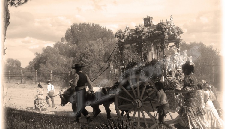 Fotografías de José Luis Torres