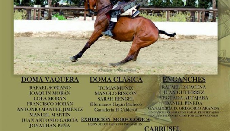 Hermandad de La Puebla del Río – III Exhibición Ecuestre