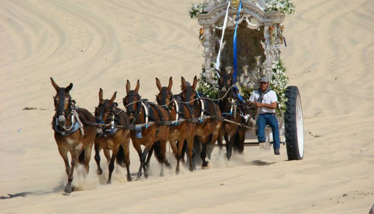 Peregrinaciones Extraordinarias de Hermandades del domingo 8 de enero de 2017
