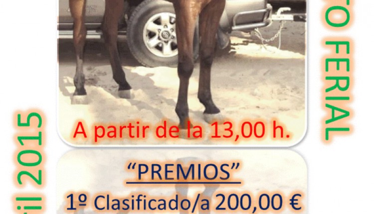 Hermandad de Bormujos – I Gymkana Ecuestre