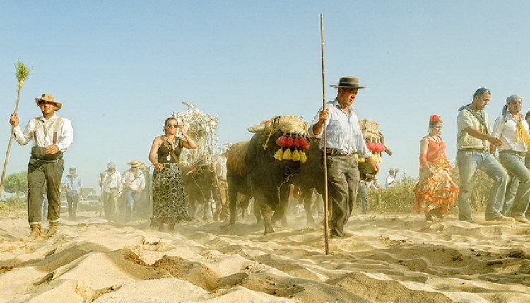 Paso de Hermandades del Rocío por Coria, Villamanrique, Quema, Ajolí, …  2015
