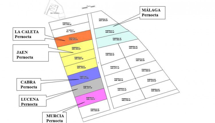 Villamanrique – Acampada de Hermandades en la Dehesa Boyal y Chaparral 2015