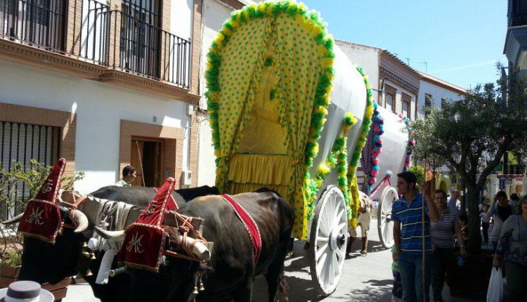 Hermandad de Gines – Carreta Solidaria 2015