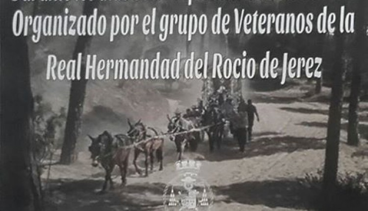 Hermandad de Jerez – II Campeonato de Dominó