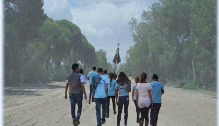 Hermandad de Marbella – Peregrinación juvenil al Rocío
