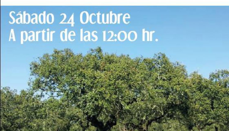 Hermandad de Bollullos par del Condado – Tostón Rociero