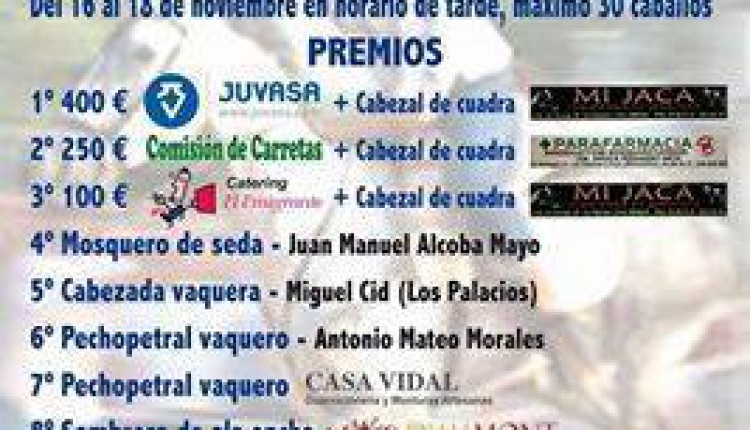 Hermandad de Dos Hermanas – Carrera de Cintas a Caballo