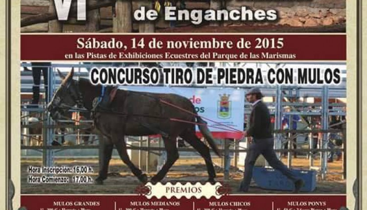 Hermandad de Los Palacios – VI prueba Amater de Enganches.