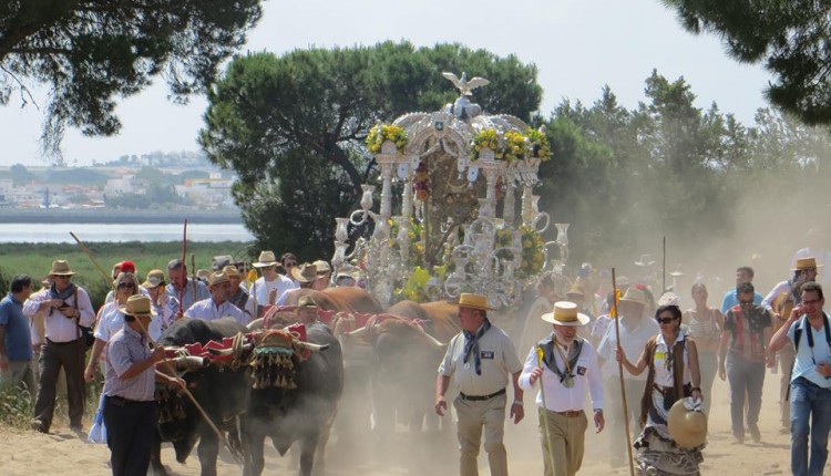 Peregrinaciones Extraordinarias del domingo 13 de marzo de 2016