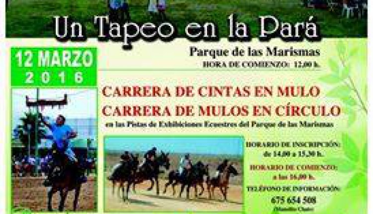 Hermandad de Los Palacios y Villafranca – Un Tapeo en la Pará