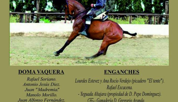 Hermandad de Puebla del Río – III Exhibición Ecuestre