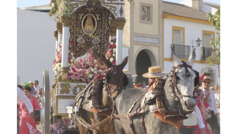Hermandad de Toledo – Solemne Triduo y Pregón a cargo de Juan Antonio Valle Lima