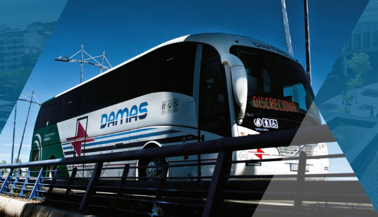Horarios de Autobuses Damas para la Romería del Rocío 2016