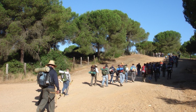 XXXVII Peregrinación andando desde Dos Hermanas hasta la Ermita de Nuestra Señora del Rocío