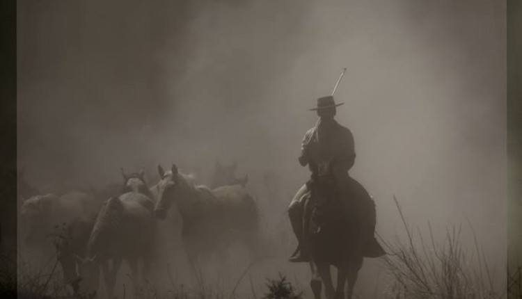 CONCURSO DE FOTOGRAFÍA SACA DE LAS YEGUAS 2016