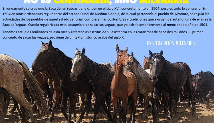 LA SACA DE LAS YEGUAS NO ES CENTENARIA, SINO MILENARIA por Javi el almonteño